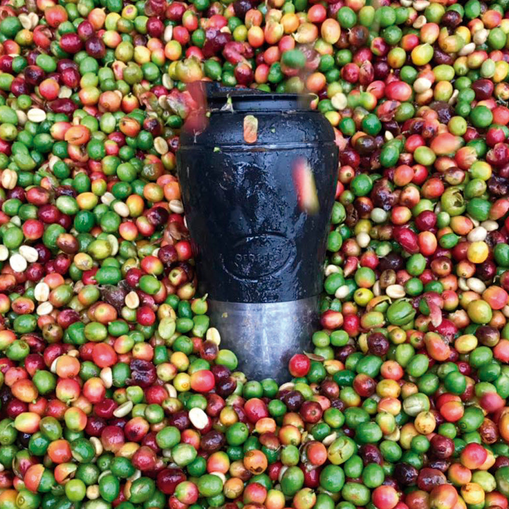 
                  
                    Cafeteira Pressca Preta
                  
                